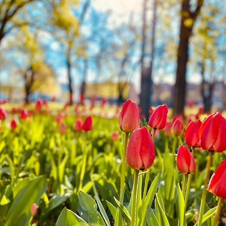 Schoene Aussichten Mitten In Berlin - Il Sole Berlim Exterior foto