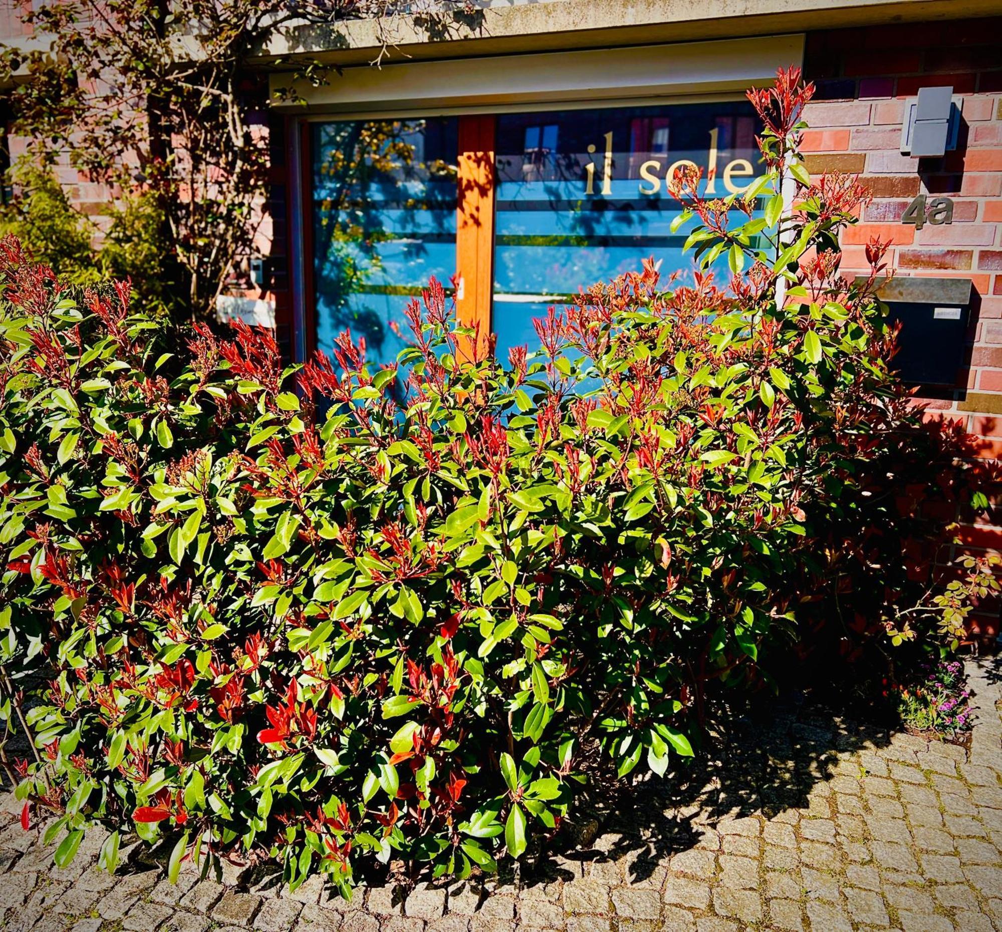 Schoene Aussichten Mitten In Berlin - Il Sole Berlim Exterior foto