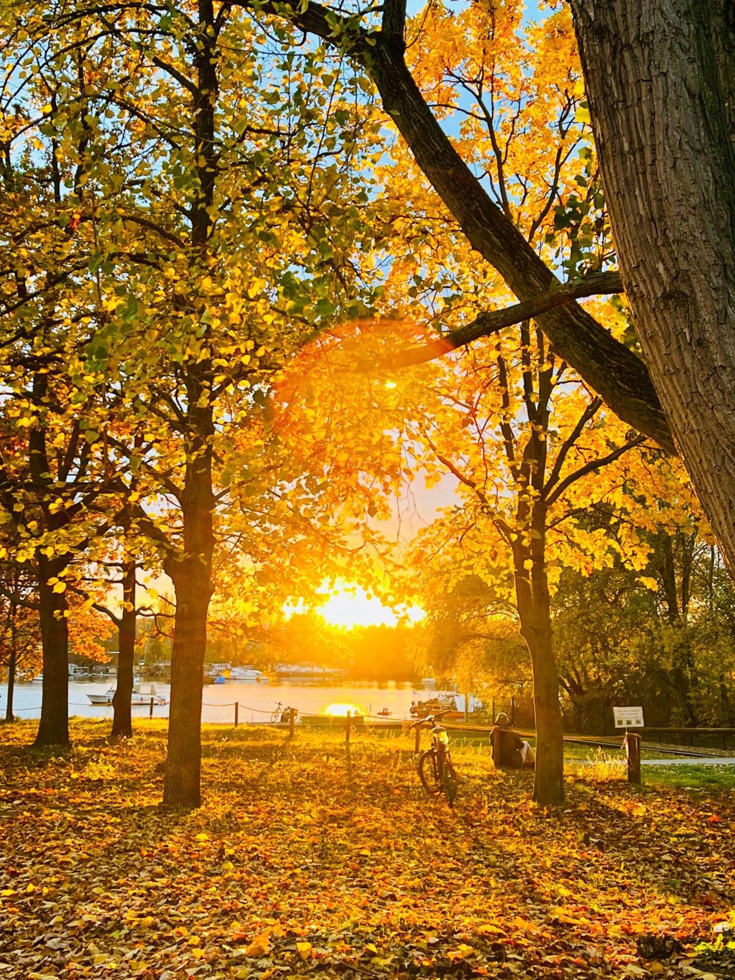 Schoene Aussichten Mitten In Berlin - Il Sole Berlim Exterior foto